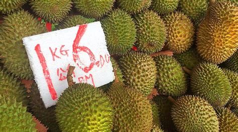 NASUHA SPICES AND HERBS PARADISE (Pagoh) - Guesthouse Reviews & Photos ...