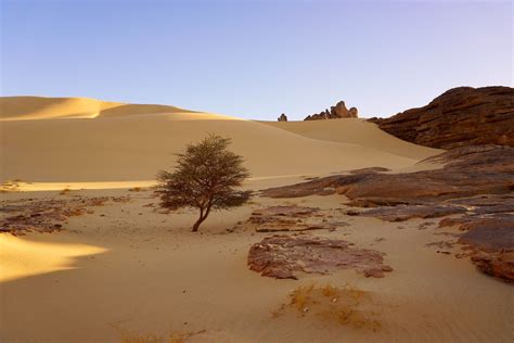 Landscape vs. Portrait Photography: What's the Difference?