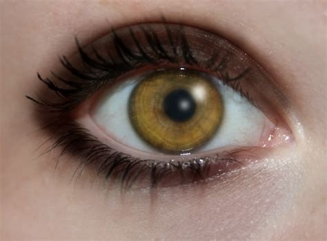 Amber eyes by XxsamskiexX on DeviantArt