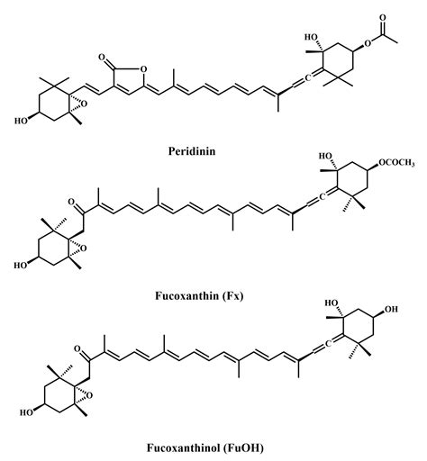 Natural Marine Products: Anti-Colorectal Cancer In Vitro and In Vivo