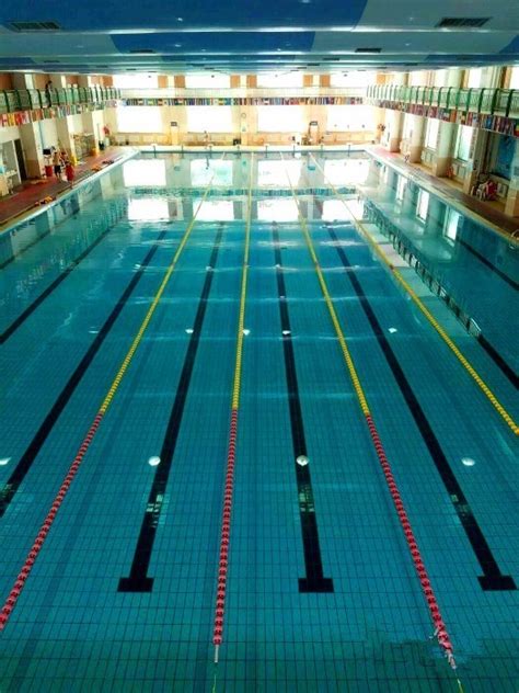 2022—2023年度长春市“体彩杯” 青少年游泳锦标赛圆满成功