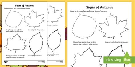 Signs of Autumn Worksheet | Read and Draw | Twinkl Resources