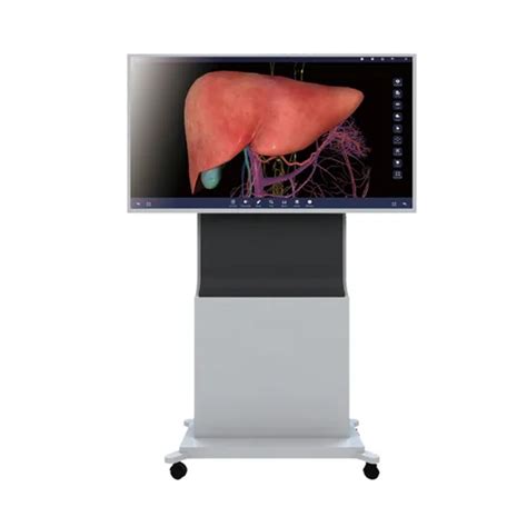 Virtual Dissection Table 的图像结果