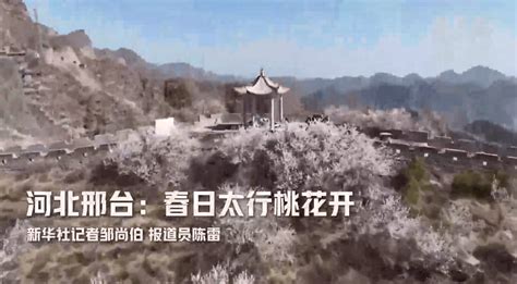 河北邢台：春日太行桃花开_九龙峡_游客_山桃