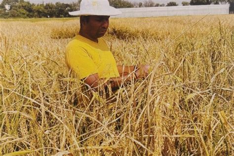 Precision Breeding: A Transformative Technology Poised to Redefine ...