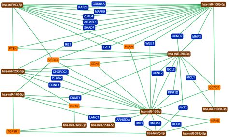 Hyperglycemia Affects miRNAs Expression Pattern during Adipogenesis of ...