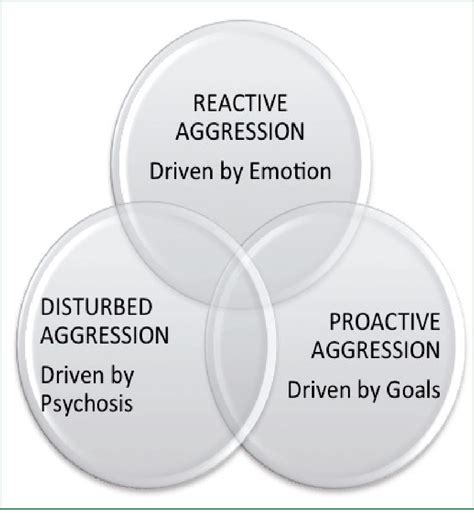 Image result for Macro Aggression Example