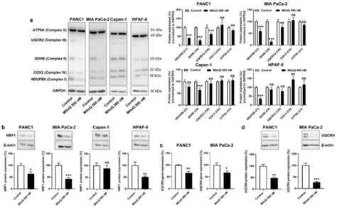 Cancers | Special Issue : Mitochondrial Functions in Cancer