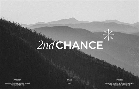 Image result for Random Chance Visual