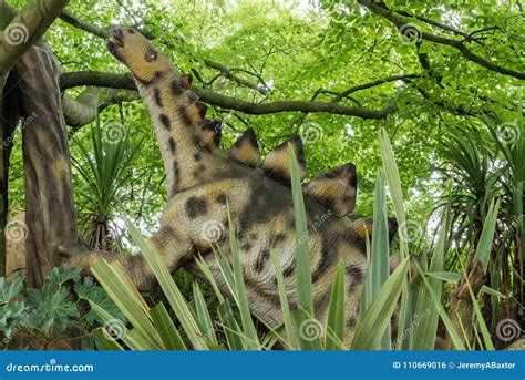 Stegosaurus, Plant Eating Dinosaur from the Jurassic Period Editorial ...