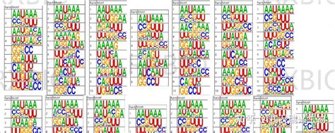 Image result for O2 Sensor Hole