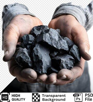 Hardworking hands holding a handful of coal isolated on a transparent ...