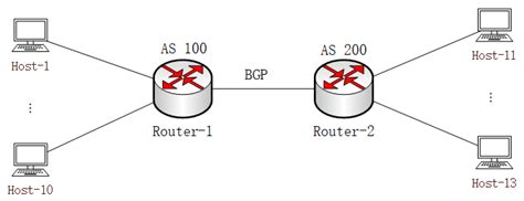 High-Fidelity Router Emulation Technologies Based on Multi-Scale ...