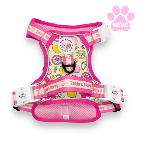 Cute Dog Harnesses – Zelda & Harley