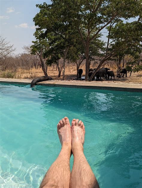 GWANGO HERITAGE RESORT (Dete) - Hotel Reviews, Photos, Rate Comparison ...