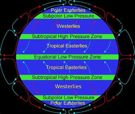 Draw a neat diagram showing pressure belts. Label the diagram. - Brainly.in