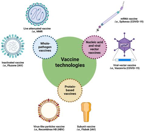 Vaccines | Project Collection : Advance in Nanoparticles as Vaccine ...
