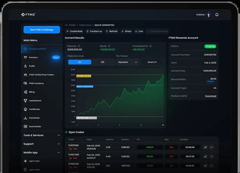FTMO Trading Tutorial 的图像结果