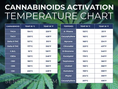 Die beste Temperatur zum Verdampfen von Cannabis - Sensi Seeds
