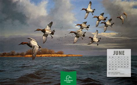 Wi Ducks Unlimited Calendar - Preschool Calendar Printable