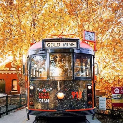 2025 Victorian Short Course Country Swimming Championships , Gurri ...