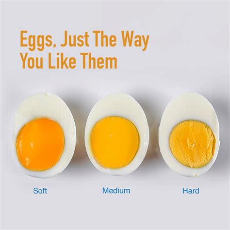 Buy Kent Super 360W Stainless Steel Egg Boiler, 3 Boiling Modes, Upto 6 ...