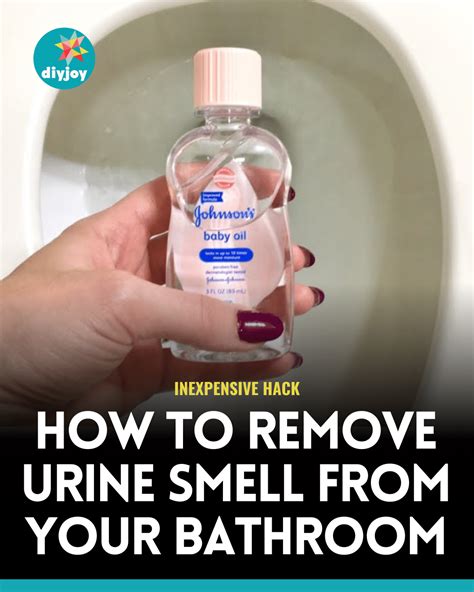 How Do I Get Urine Smell Out Of Couch