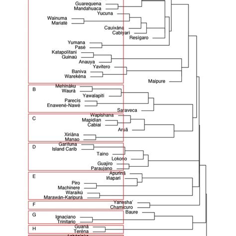 Image result for Language Tree Chart