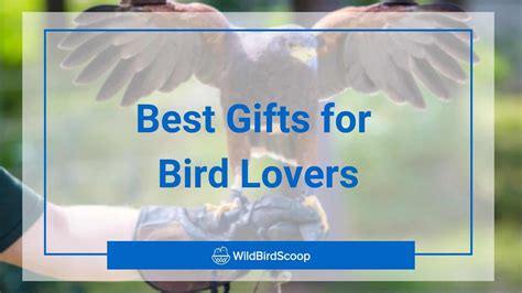 22 Best Gifts for Bird Lovers: Practical and Creative Ideas