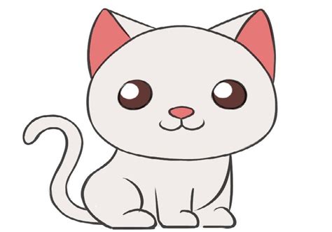 IQ Option Python API 的图像结果