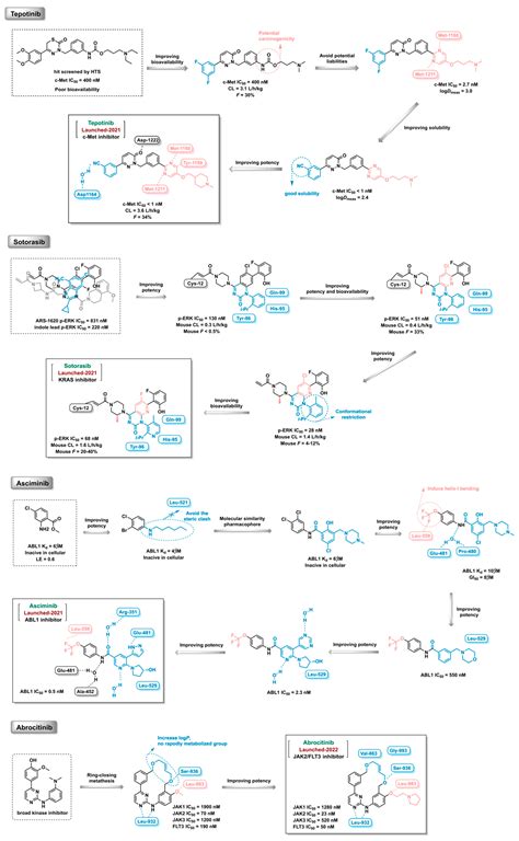 An Updated Review on Developing Small Molecule Kinase Inhibitors Using ...