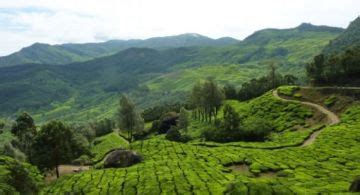 Magical 2 Days 1 Night Munnar Nature Vacation Package | Munnar Trip ...