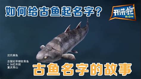 【每周一鱼】潜水艇鱼详细介绍（附饲养方法）