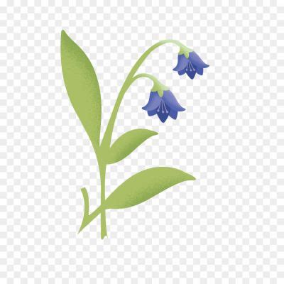Vector Bluebells PNG Clipart YH5GJS5V - Pngsource