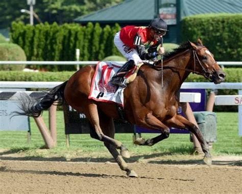 A. P. Indian aims for the top in TwinSpires.com BC Sprint | TwinSpires