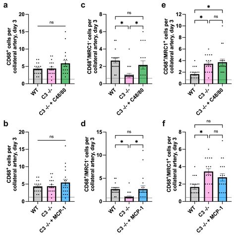 The Complement System Is Essential for Arteriogenesis by Enhancing ...