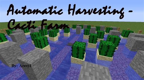 Image result for automatic xp cactus farm minecraft java 1.16.4