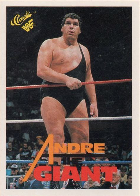 Image result for WWF Classics