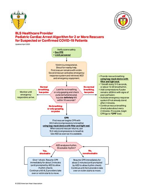 Image result for Pediatric BLS Algorithm Card