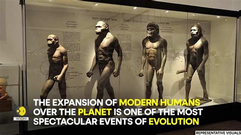 Image result for Civilization 1 Human