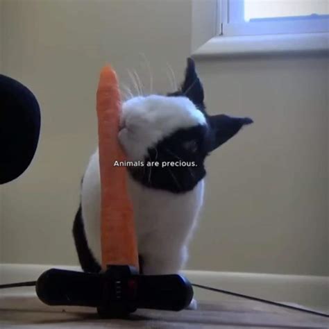 New Hopecore TikTok Trend: Gen X Parents Hope Too!