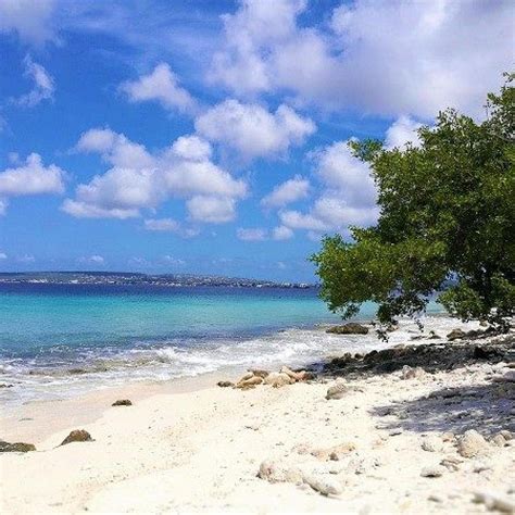 PALU DI MANGEL BEACH (2025) All You Need to Know BEFORE You Go (with ...