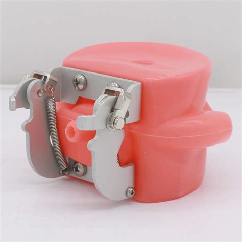 JJY Dental Teaching Tooth Extraction Model with India | Ubuy