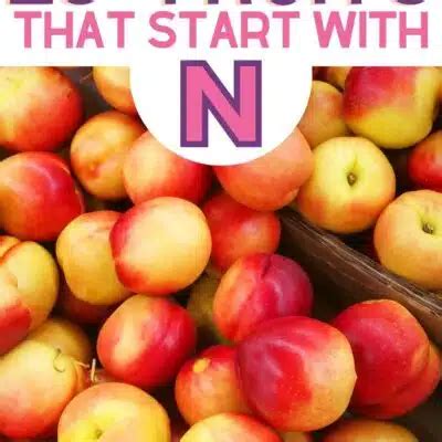 Fruits That Start With N: 23+ Fruits Beginning With The Letter N | Bake ...