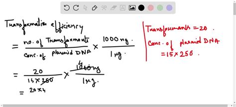 Image result for Transformation Efficiency Formula