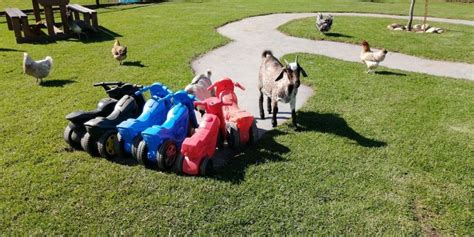 Family-Friendly Wine Tour in Franschhoek | Wine in the Cape