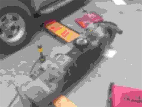 Image result for 7.3 Injector Check