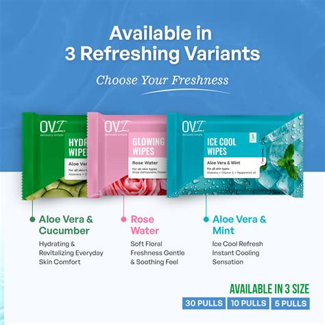 Ice Cool Wet Wipes Aloe Vera & Mint - 5 Pulls (Pack of 10) – Wizvalue
