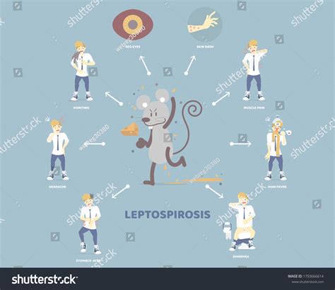Symptoms Leptospirosis People Having Diarrhea Headache 库存矢量图（免版税）1793666614 | Shutterstock