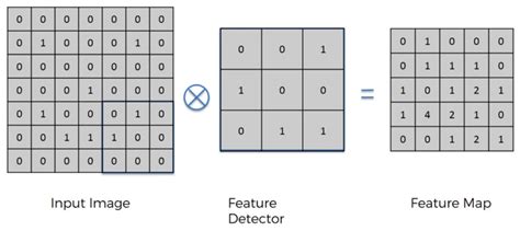 Image result for Image Classification Using Machine Learning